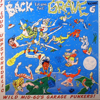 Back From the Grave vol 6 LP (Crypt)