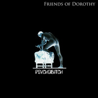 Friends of Dorothy - Psychobitch 7" (Black vinyl)
