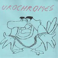 Urochromes 7"