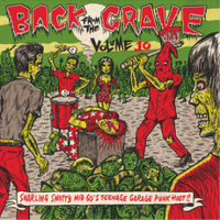 Back From The Grave vol 10 LP