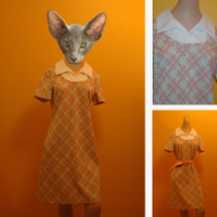 vintage checked light green/pink mod dress with white collar