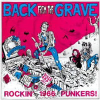 Back From the Grave vol 1 LP (Crypt) Gatefold sleeve