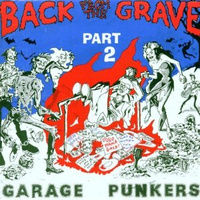 Back From the Grave Vol 2  LP (crypt)