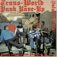 Trans-World Punk Rave-Up Vol 2 LP